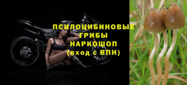 эйфоретик Нея
