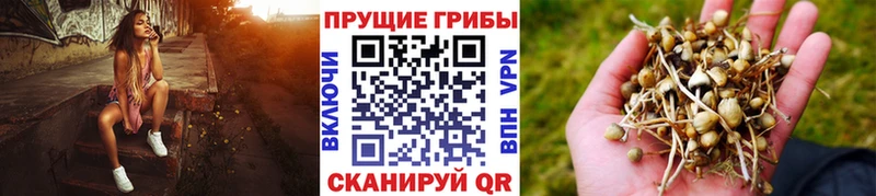Псилоцибиновые грибы мухоморы  Миллерово 